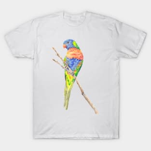 Rainbow Lorikeet painting T-Shirt